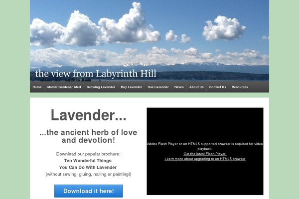 Site using Ecwid Shopping Cart plugin