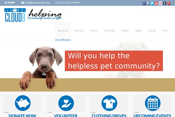 Ivena theme site design template sample