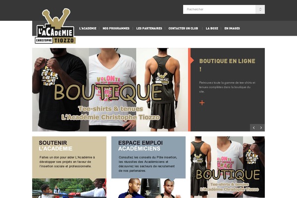 GoodInc theme site design template sample