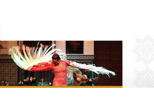 Site using Dynamic-content-for-elementor plugin