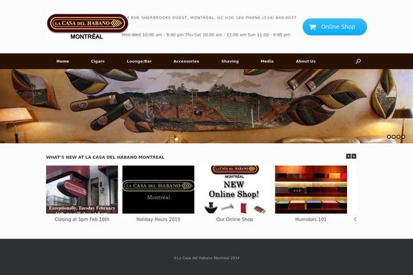 ArileWP theme site design template sample