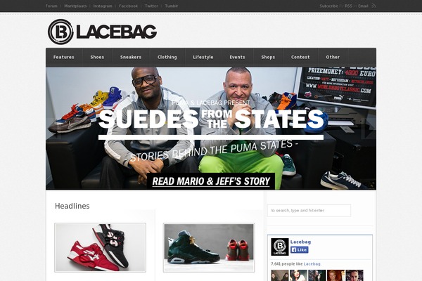 lacebag.nl site used Twentytwentyone-child