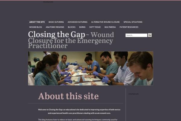 Edin theme site design template sample