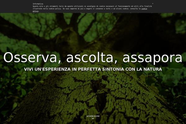 Base theme site design template sample