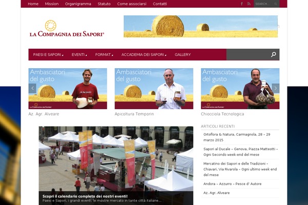 Magazon Wp theme site design template sample