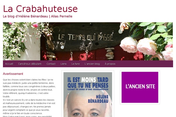 Gridiculous Pro theme site design template sample