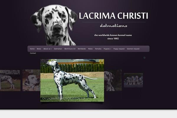 Envisioned theme site design template sample