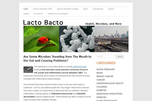 Tiny Framework theme site design template sample