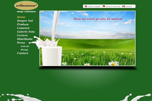 lactosolomonescu.ro site used Instyle-wp