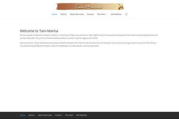 Site using Divi-footer-editor plugin