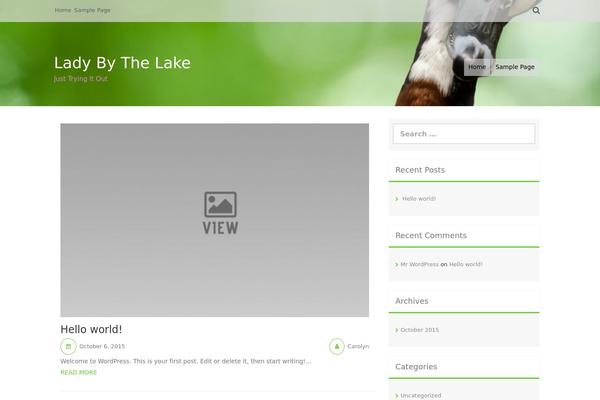 Aldehyde theme site design template sample