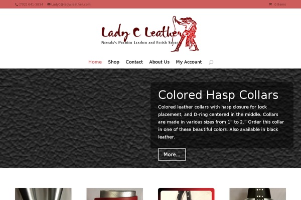 Hustle theme site design template sample