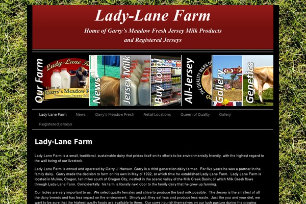 Site using Video Gallery plugin