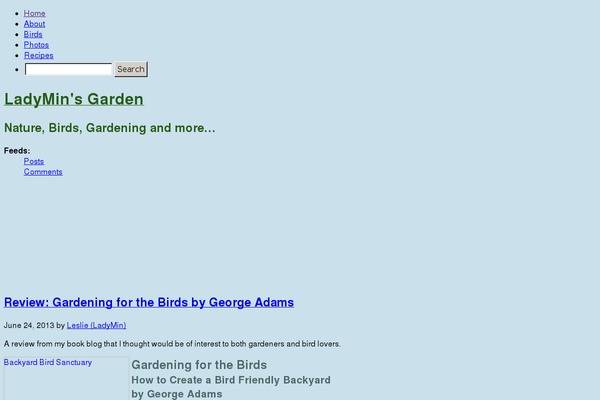 Misty Lake theme site design template sample