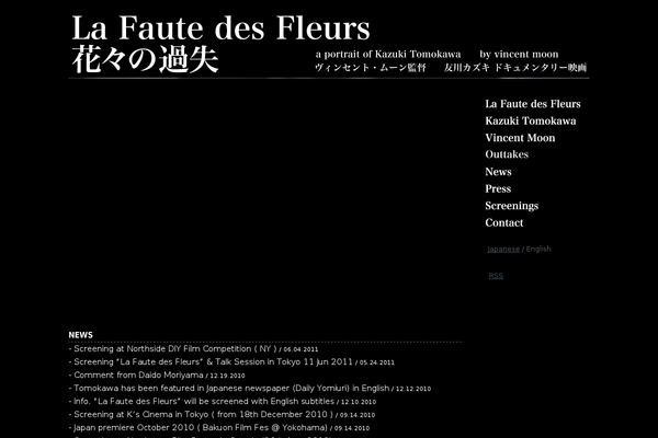 Site using Flash Video Player plugin