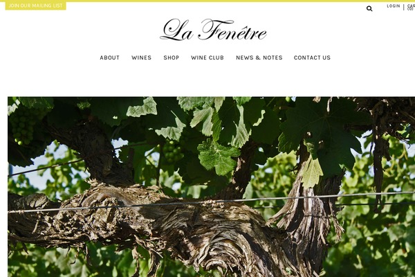 vineyards theme websites examples