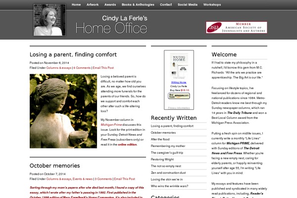 Ashe theme site design template sample