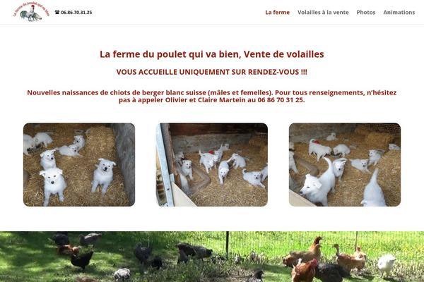 Divi-enfant theme site design template sample