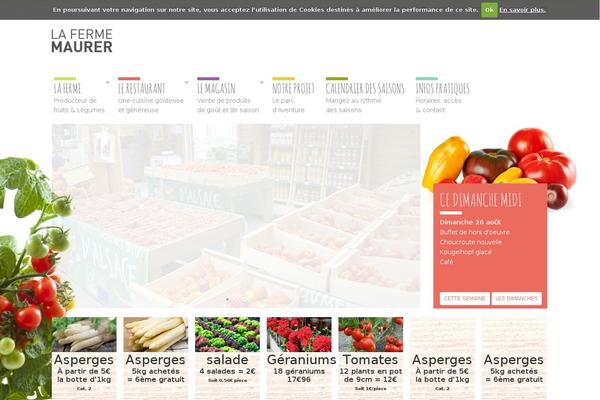 Site using Cookiecuttr plugin