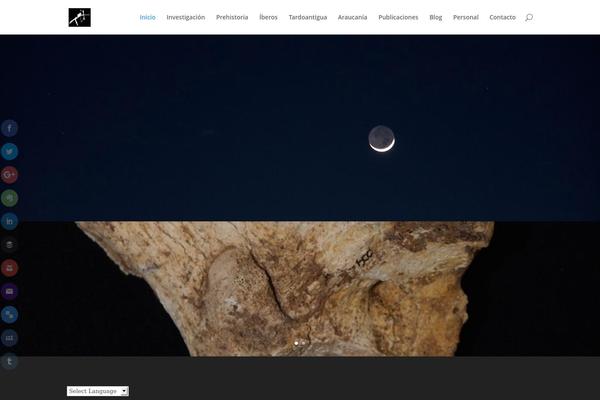 Site using Google Language Translator plugin