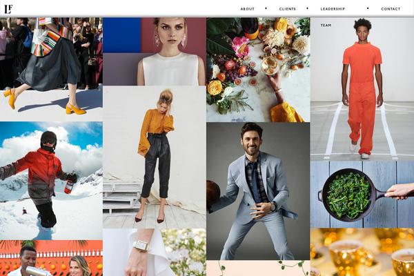 laforce-stevens.com site used Laforce-20170310