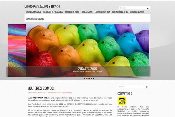 Simpleone theme site design template sample