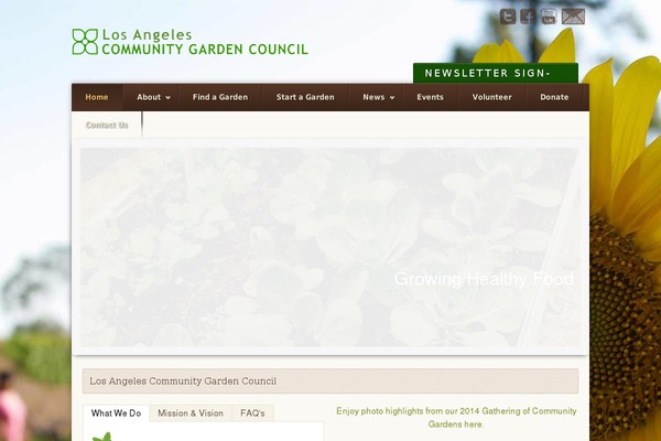 Site using WP Social Stream plugin