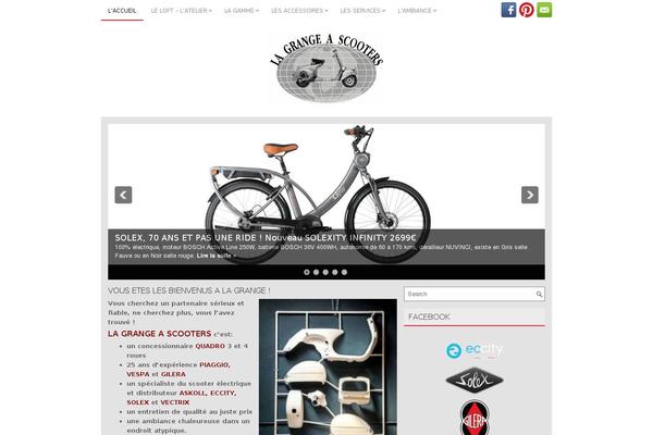 Site using Wp-posts-pro plugin