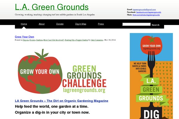 My Blog theme site design template sample