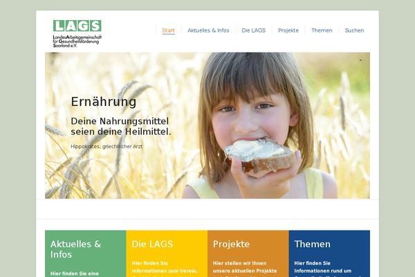 Trymee theme site design template sample