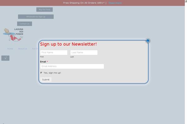 Site using Woocommerce-simple-auctions plugin