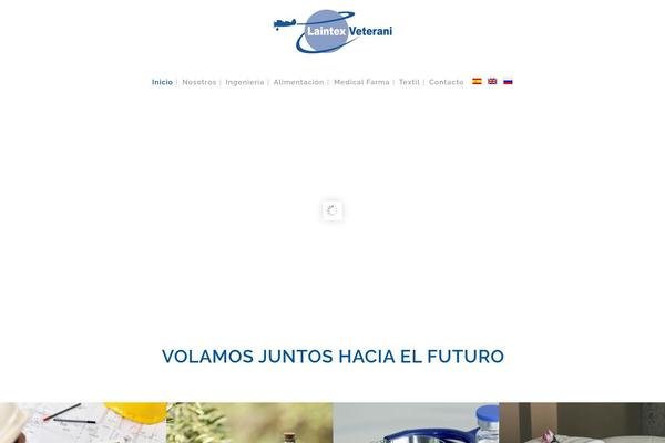 Bridge Child theme site design template sample