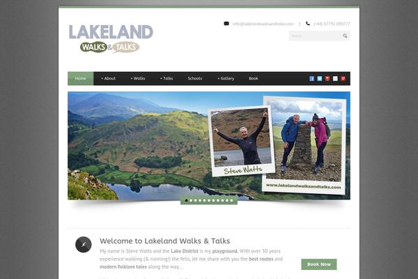 Blue Diamond theme site design template sample