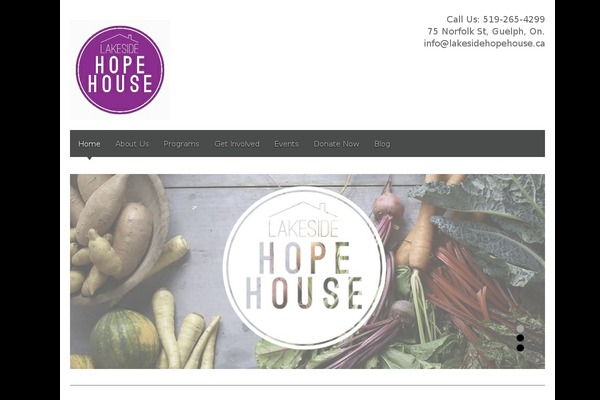 Blackbird theme site design template sample
