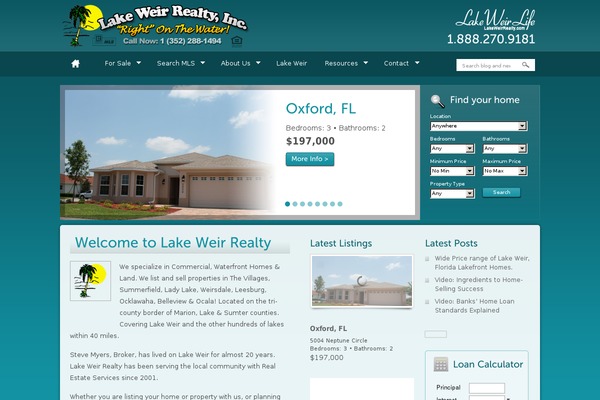OpenDoor theme site design template sample