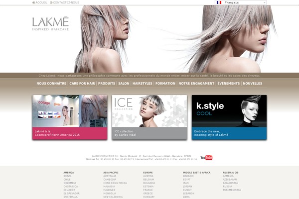Roots theme site design template sample