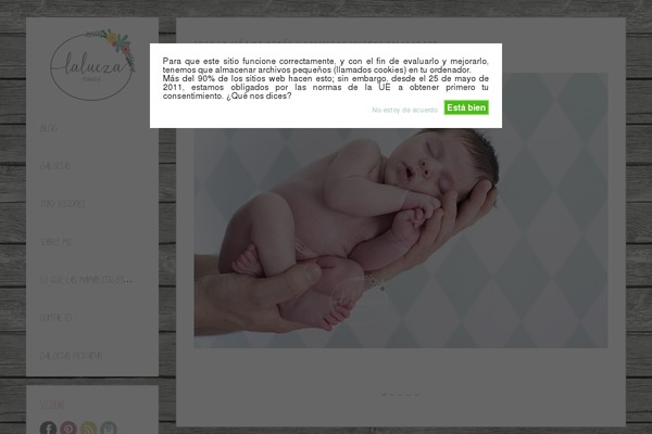 zeeMinty theme site design template sample