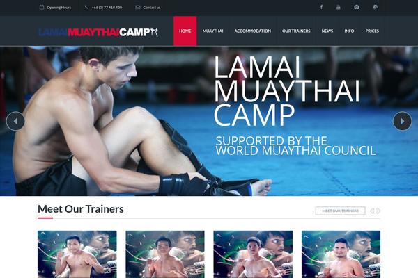 Site using Font Awesome More Icons plugin