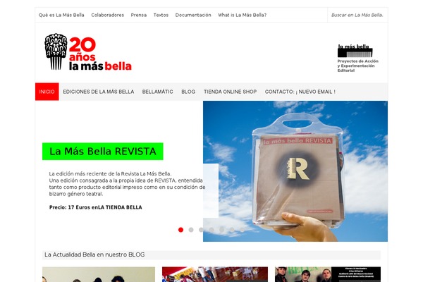 Site using AnyWP MailChimp plugin