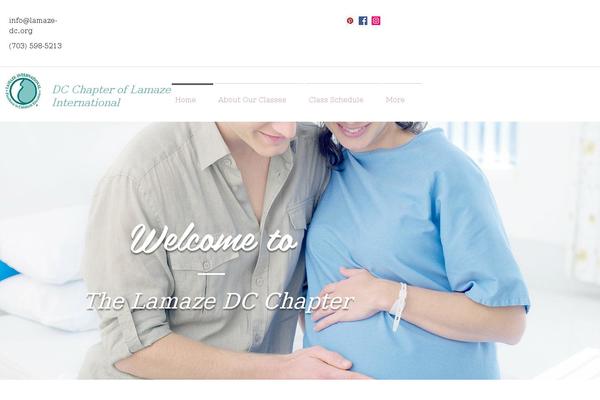 Dazzling Child theme site design template sample