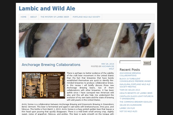 Asokay theme site design template sample