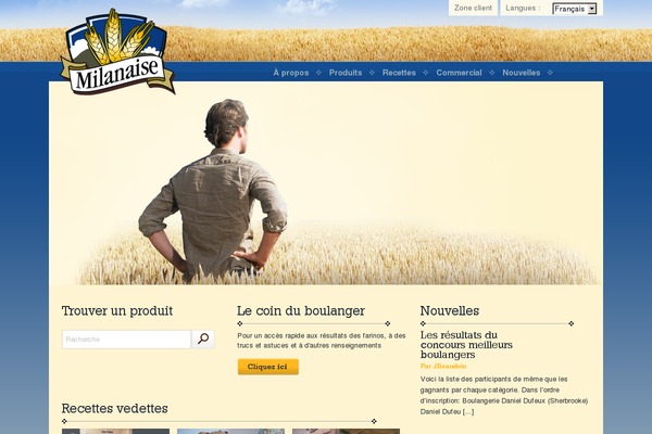 Site using Wpml-cms-nav plugin