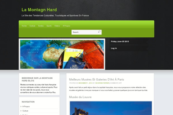 Martin theme site design template sample