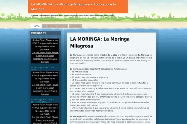 Beach theme site design template sample