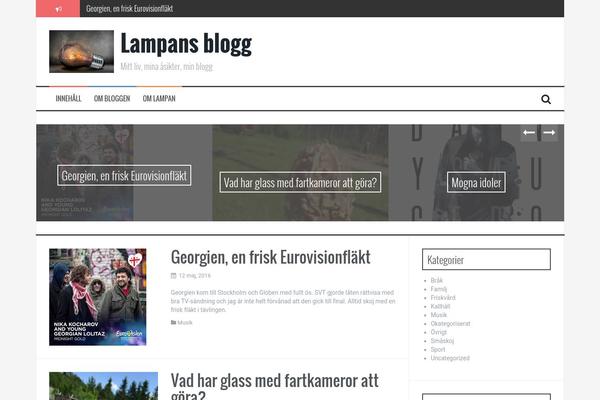 FlyMag theme site design template sample