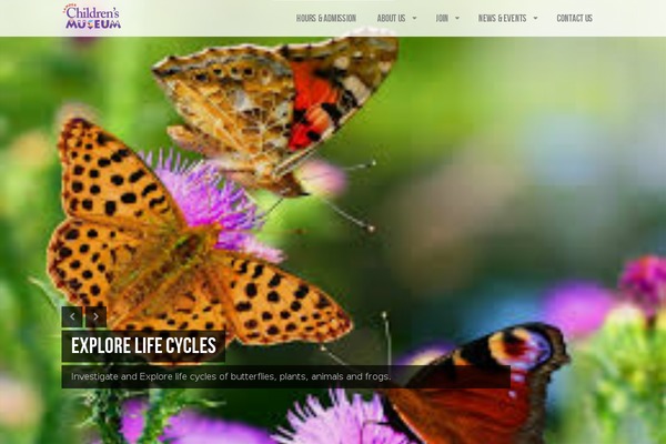 Lensa theme site design template sample