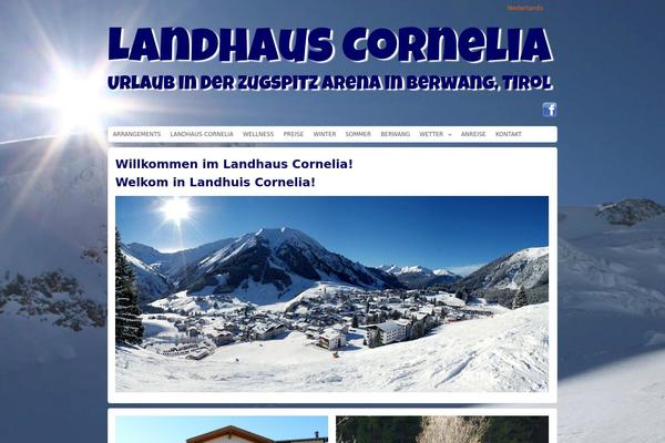 Richwp20110131 theme site design template sample