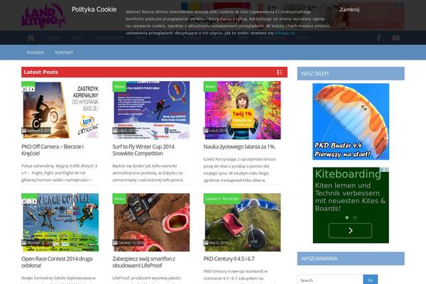 ProMax theme site design template sample