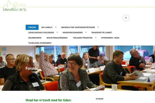Edin theme site design template sample