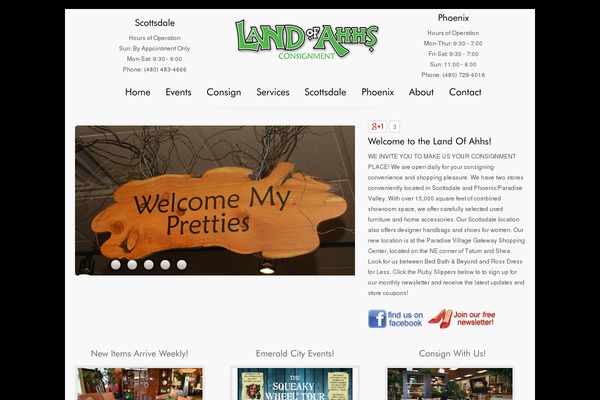 Deluxe theme site design template sample